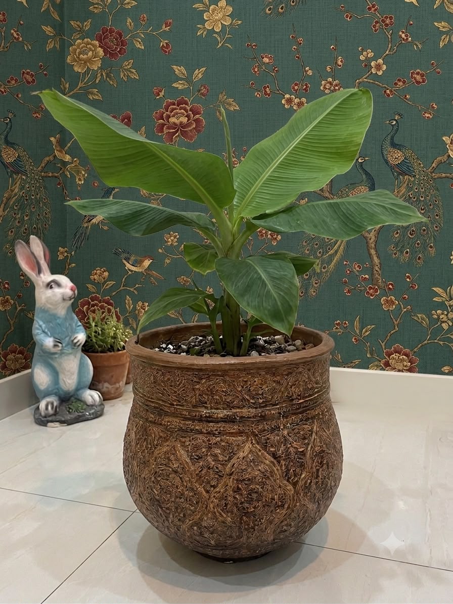 Planters